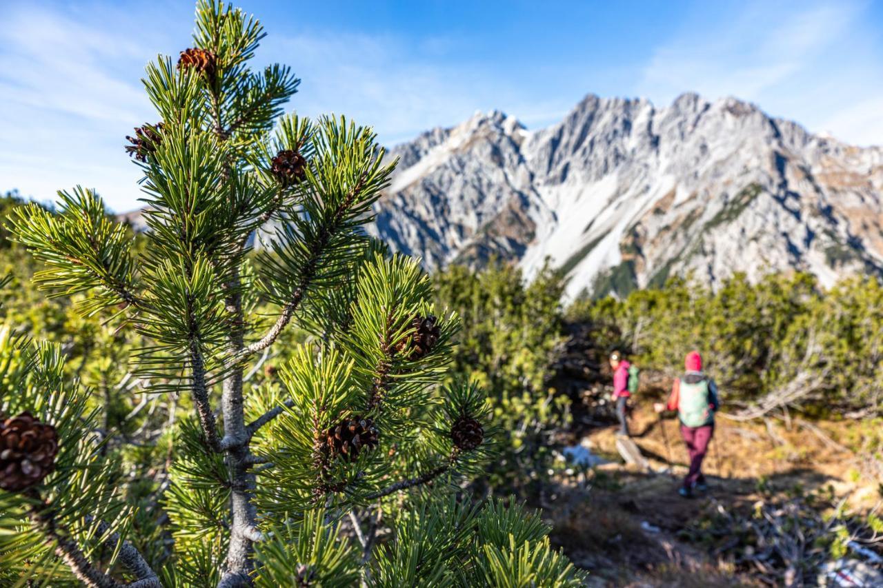 Wald 12 Wald am Arlberg